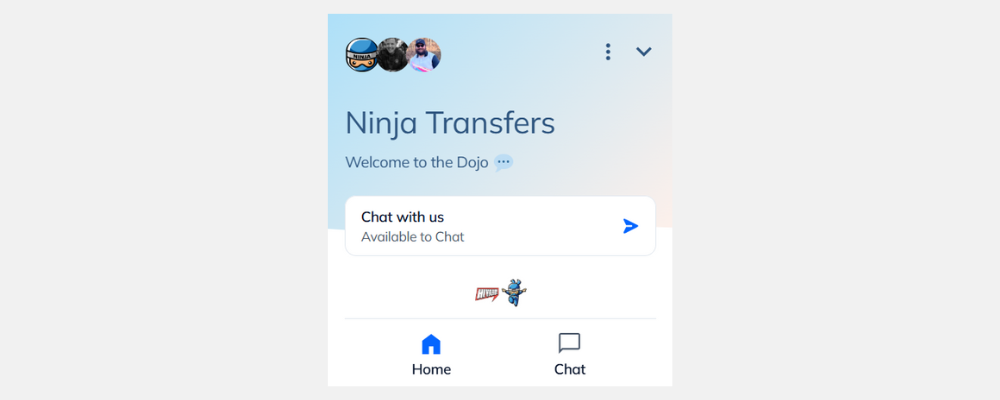 ninja transfers